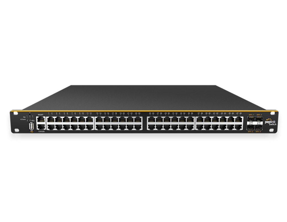 SD Switch 48-Port Enterprise